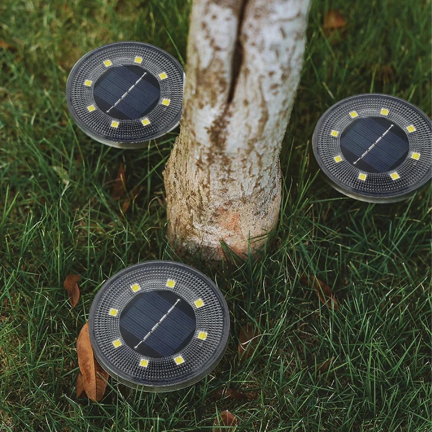 Solar powered waterproof lights