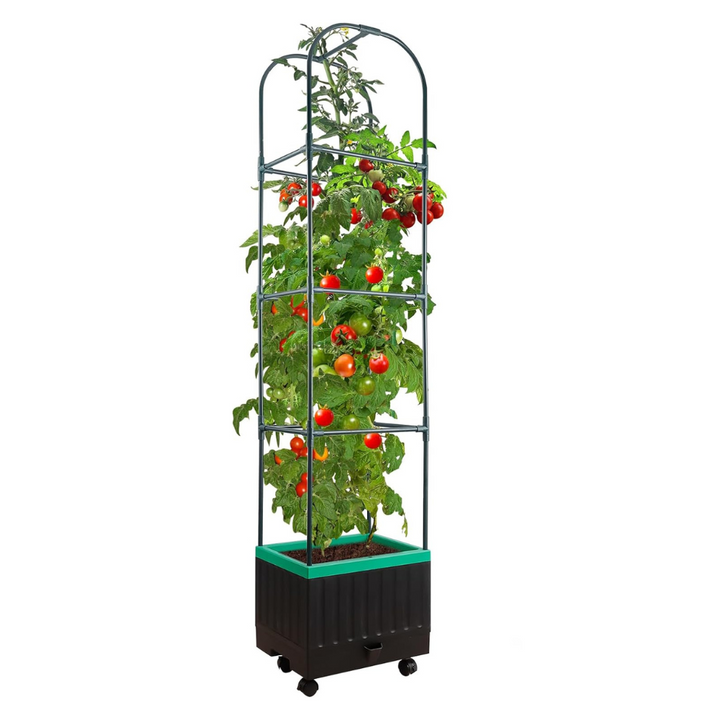 Self-Watering Raised Garden